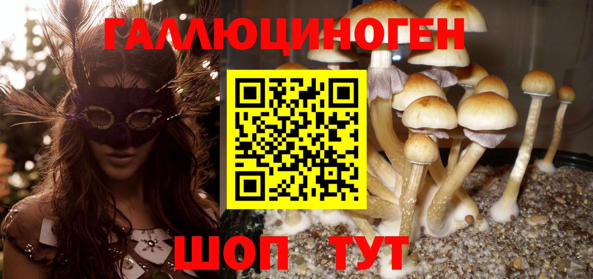 Барабинск  где найти   Вход с VPN  Галлюциногенные грибы Magic Shrooms 
