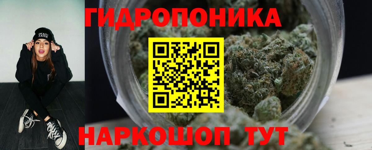 Канабис семена Барабинск